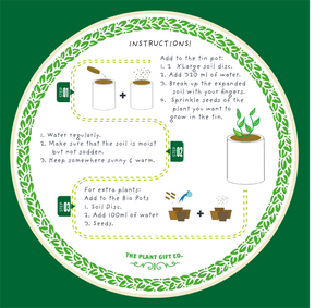 Grow Your Own Kitchen Herbs Kit