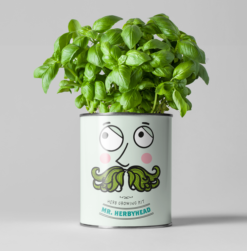 Grow Your Own Kitchen Herbs Kit