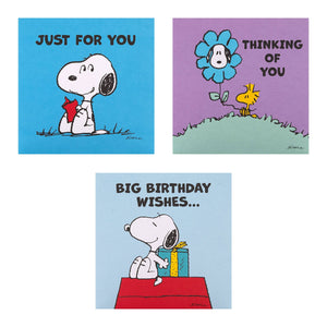 Greeting Cards Multipack - 10 PEANUTS™ SNOOPY Designs