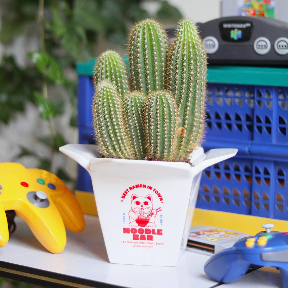Ramen Vase