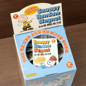 Peanuts Snoopy & Friends Magnet Mystery Random Box