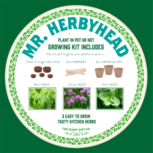 Grow Your Own Kitchen Herbs Kit