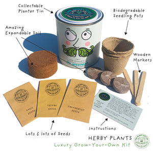 Grow Your Own Kitchen Herbs Kit