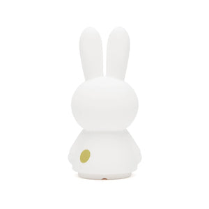 Mr Maria Miffy Shines Light