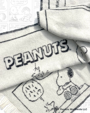 Peanuts Blanket