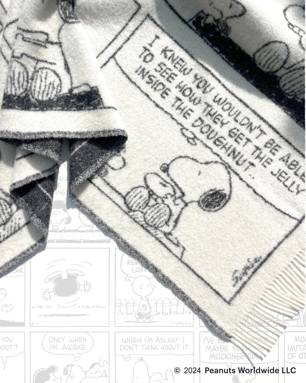 Peanuts Blanket