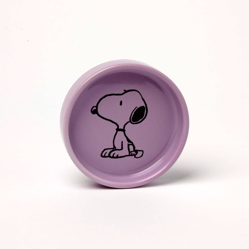 Peanuts Snoopy Pin Dish