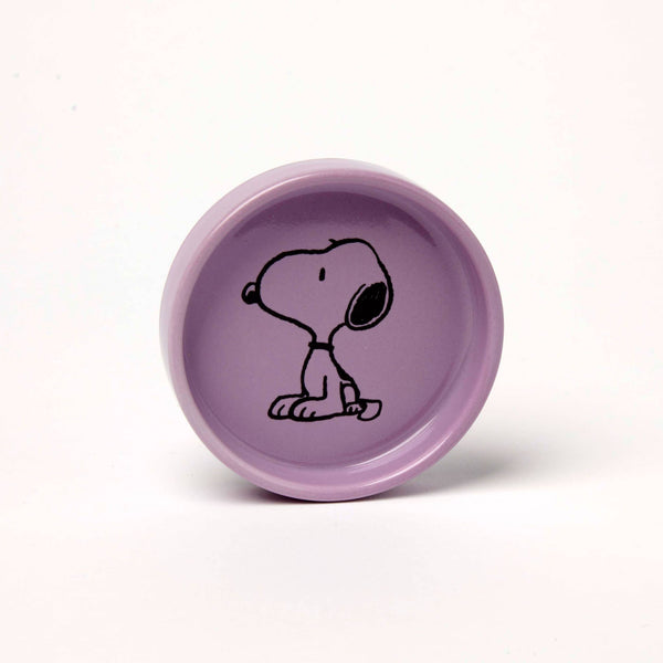 Peanuts Snoopy Pin Dish