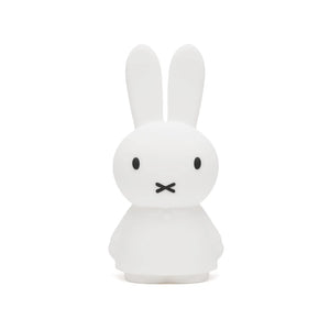 Mr Maria Miffy Shines Light